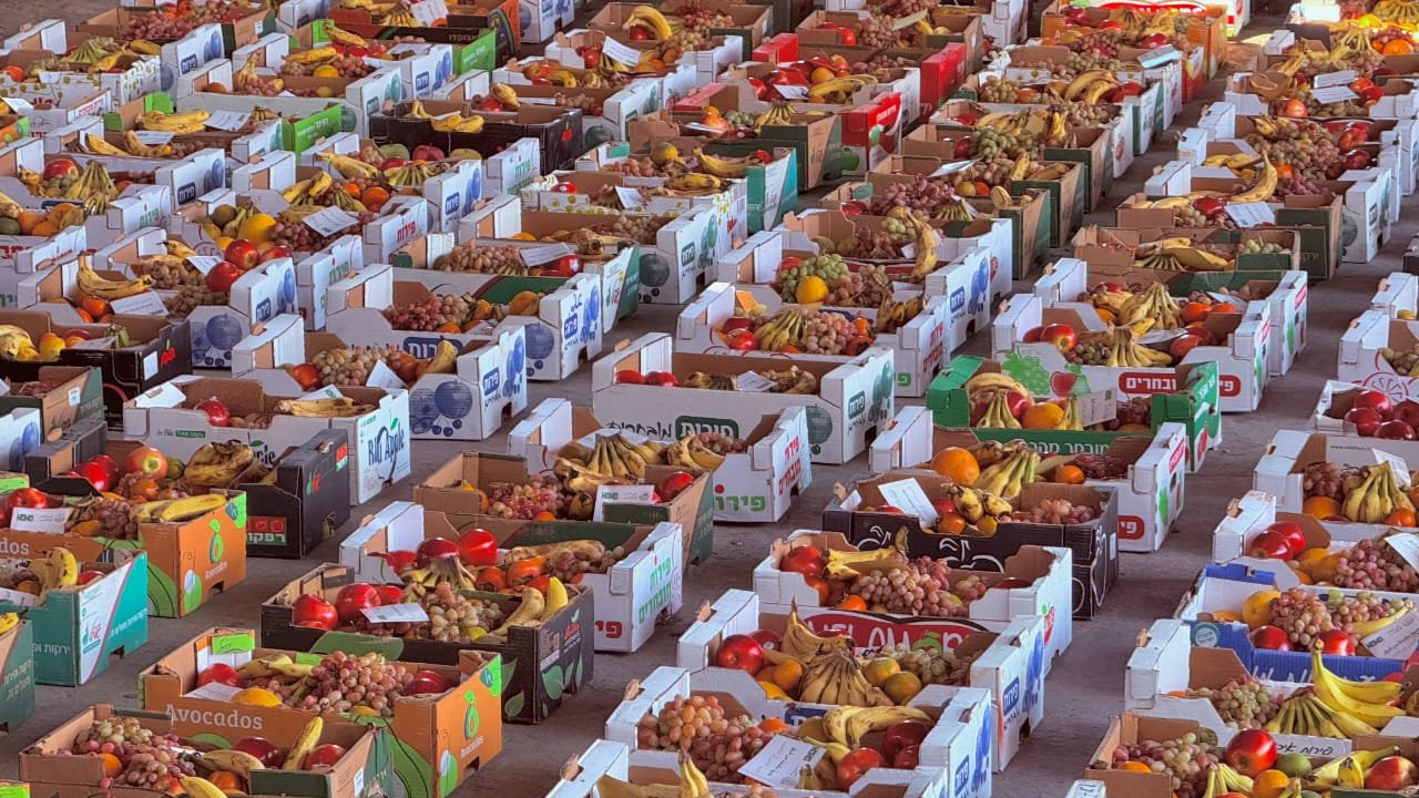 توزيع 600 سلة فواكه في شمال قطاع غزة